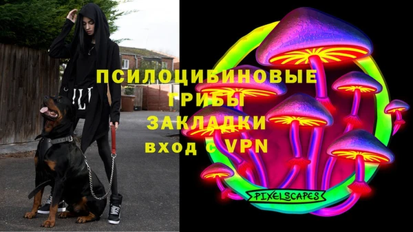 спиды Абаза